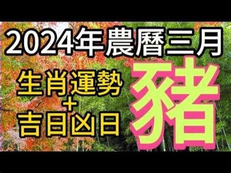 張古柏命理 相片|【古柏論命每月運勢+吉日凶日】2024年農曆10月(陽曆11/1 ~。